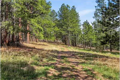 560 Quillan Gulch Rd, Loveland, CO 80537 - Photo 39