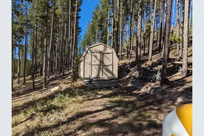 2784 Osage Trl, Red Feather Lakes, CO 80545 - Photo 3
