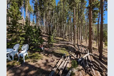 2784 Osage Trl, Red Feather Lakes, CO 80545 - Photo 19
