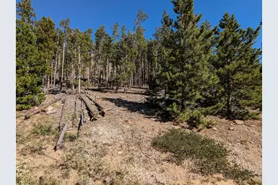 2784 Osage Trl, Red Feather Lakes, CO 80545 - Photo 21