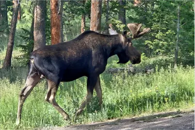 18673 Highway 7, Lyons, CO 80540 - Photo 13