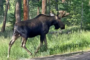 18673 Hwy 7, Lyons, CO 80540 - Photo 13