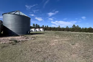 9718 Co Rd 3, Wiggins, CO 80654 - Photo 49