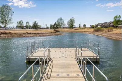 6913 Pettigrew St, Wellington, CO 80549 - Photo 45
