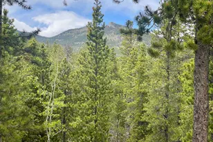 34425 Stanton Dr, Golden, CO 80403 - Photo 29
