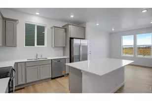 317 Fiord Wy, Severance, CO 80550 - Photo 9