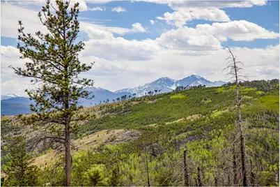 805 Meadows Dr, Drake, CO 80515 - Photo 11