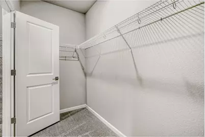 648 Noola St, Windsor, CO 80550 - Photo 15