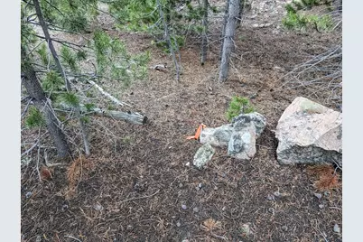90 Quapaw Ct, Red Feather Lakes, CO 80545 - Photo 15