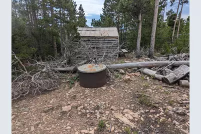 90 Quapaw Ct, Red Feather Lakes, CO 80545 - Photo 7