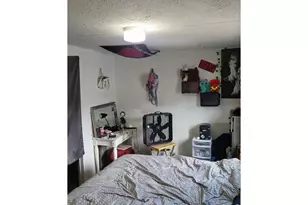 9069 Mandel St, Denver, CO 80260 - Photo 27