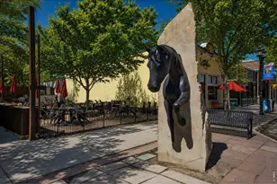 342 Main St, Erie, CO 80516 - Photo 45