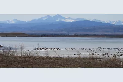 6901 Water View Ct, Timnath, CO 80547 - Photo 47