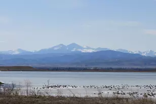 6901 Water View Ct, Timnath, CO 80547 - Photo 47