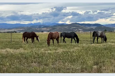 612 W County Road 74, Wellington, CO 80549 - Photo 49