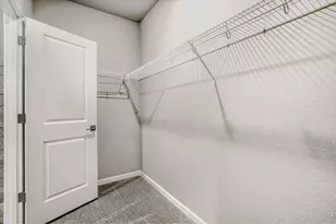 648 Noola St, Windsor, CO 80550 - Photo 15