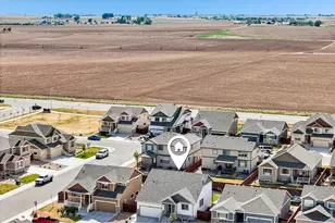 2336 Golden Wy, Windsor, CO 80550 - Photo 37
