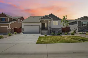 2336 Golden Wy, Windsor, CO 80550 - Photo 37