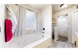 548 El Diente Ave, Severance, CO 80550 - Photo 5