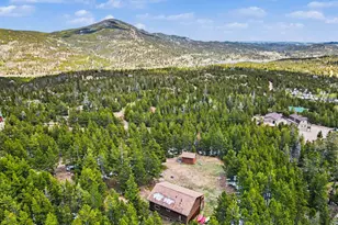 321 Shasta Way, Red Feather Lakes, CO 80545 - Photo 21