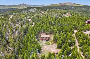 321 Shasta Way, Red Feather Lakes, CO 80545 - Photo 23
