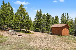 321 Shasta Way, Red Feather Lakes, CO 80545 - Photo 23