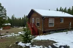 321 Shasta Way, Red Feather Lakes, CO 80545 - Photo 39