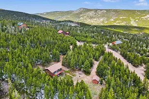321 Shasta Way, Red Feather Lakes, CO 80545 - Photo 21