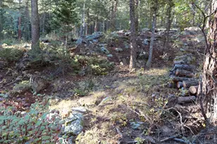 1655 Black Squirrel Dr, Estes Park, CO 80517 - Photo 39