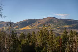777 Powder Horn Trail, Bellvue, CO 80512 - Photo 5