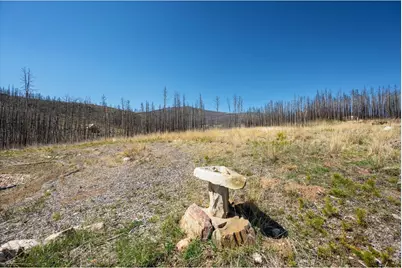 777 Powder Horn Trl, Bellvue, CO 80512 - Photo 23