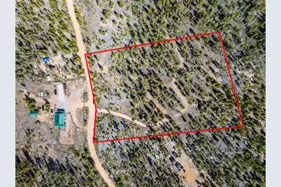 297 Manso Way, Red Feather Lakes, CO 80545 - Photo 5