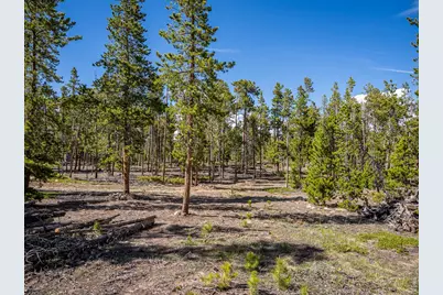 297 Manso Way, Red Feather Lakes, CO 80545 - Photo 17