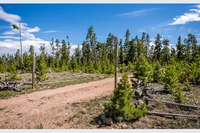 297 Manso Way, Red Feather Lakes, CO 80545 - Photo 3