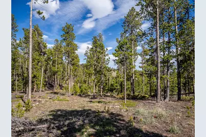 297 Manso Way, Red Feather Lakes, CO 80545 - Photo 15