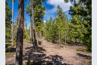 297 Manso Way, Red Feather Lakes, CO 80545 - Photo 19
