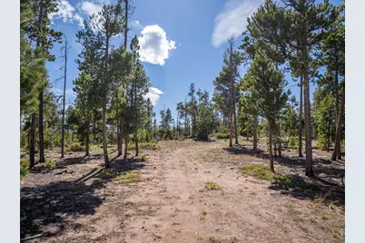 297 Manso Way, Red Feather Lakes, CO 80545 - Photo 13