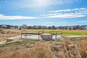 5672 Jedidiah Dr, Timnath, CO 80547 - Photo 35