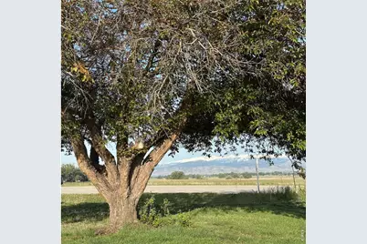 8502 N 107th St, Longmont, CO 80504 - Photo 1