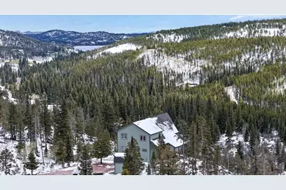 296 Elkridge Rd, Red Feather Lakes, CO 80545 - Photo 45