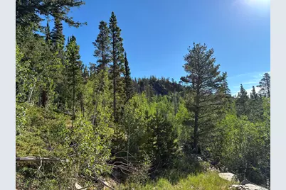 540 Elkridge Rd, Red Feather Lakes, CO 80545 - Photo 19