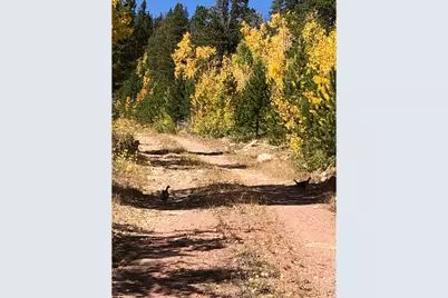 540 Elkridge Rd, Red Feather Lakes, CO 80545 - Photo 7