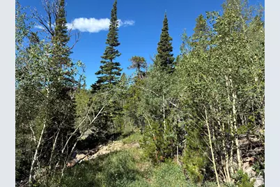 540 Elkridge Rd, Red Feather Lakes, CO 80545 - Photo 9