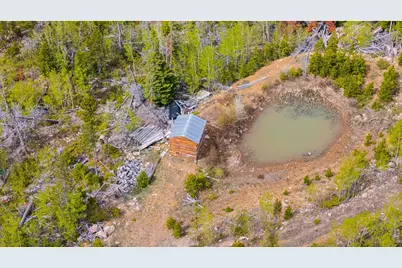 540 Elkridge Rd, Red Feather Lakes, CO 80545 - Photo 13