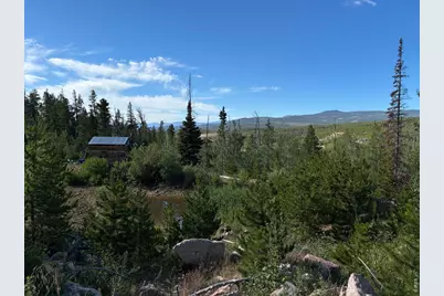 540 Elkridge Rd, Red Feather Lakes, CO 80545 - Photo 11