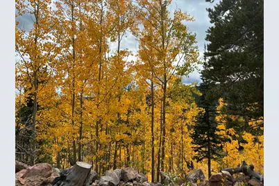 540 Elkridge Rd, Red Feather Lakes, CO 80545 - Photo 25