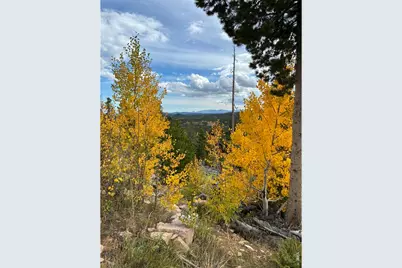 540 Elkridge Rd, Red Feather Lakes, CO 80545 - Photo 23