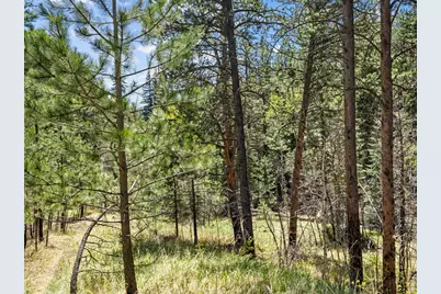 0 Fisherman Ln, Glen Haven, CO 80532 - Photo 9
