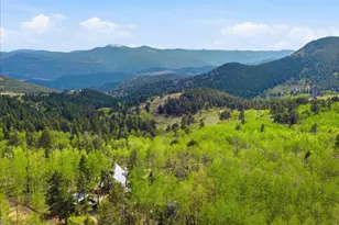 1800 Robinson Hill Rd, Black Hawk, CO 80422 - Photo 5
