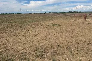 25061 Co Rd 50, Kersey, CO 80644 - Photo 7